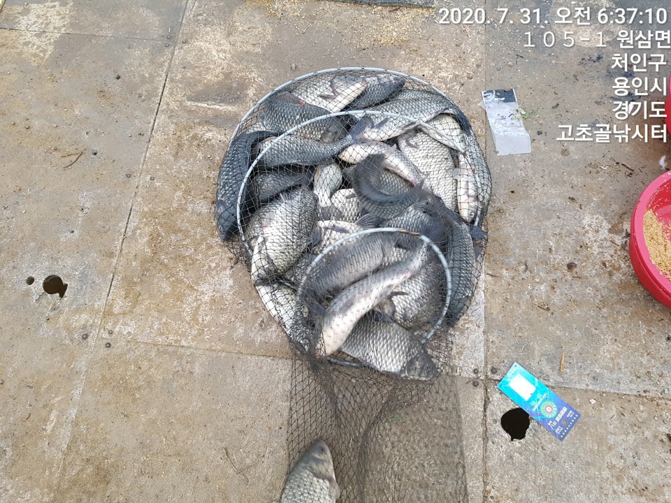 1596173302124-13.jpg