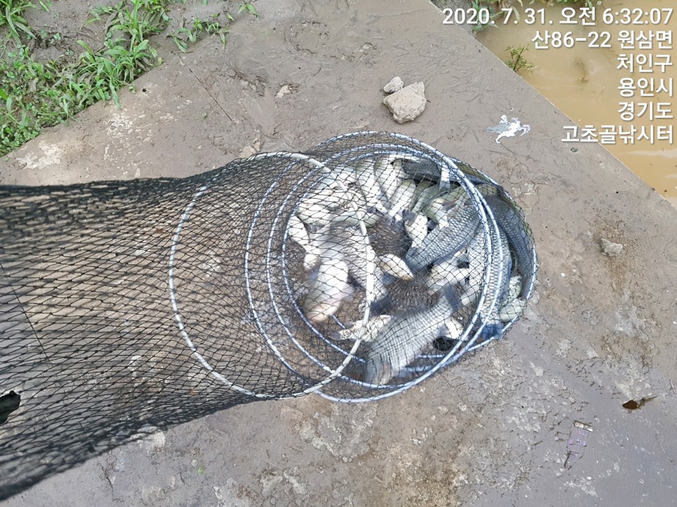 1596173302124-14.jpg