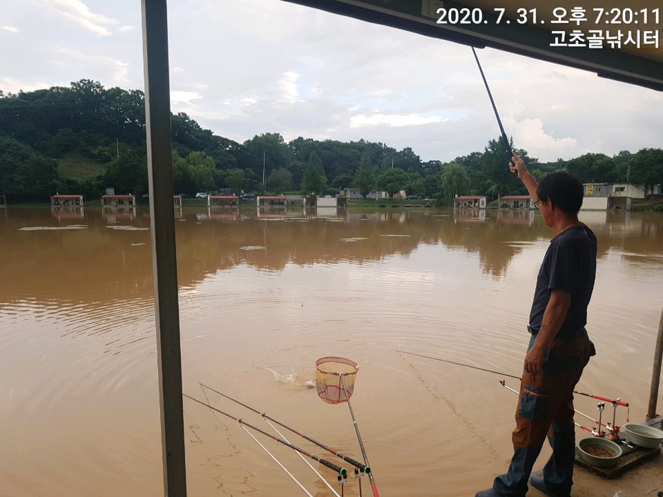 1596241715753-3.jpg