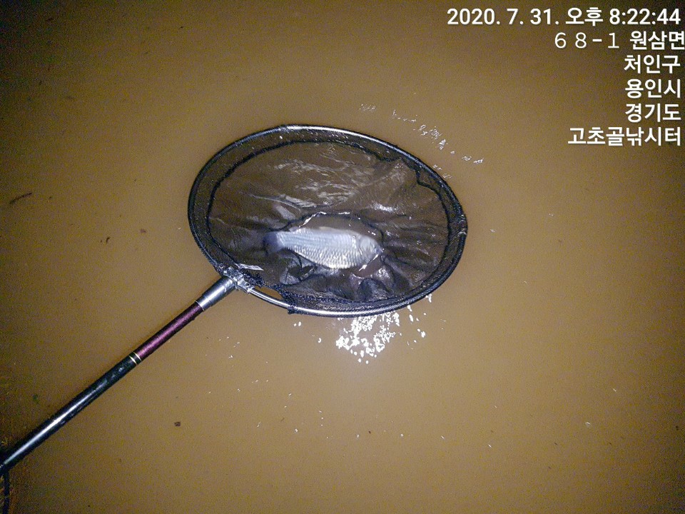 1596241715753-6.jpg