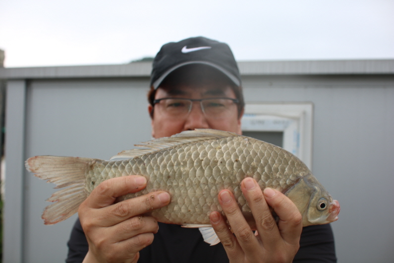 [크기변환]IMG_9386.JPG