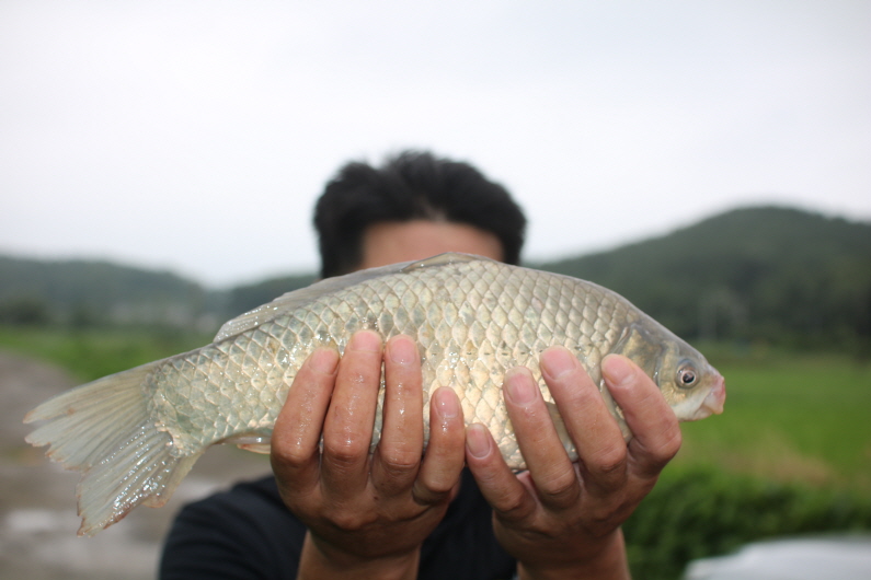 [크기변환]IMG_9427.JPG