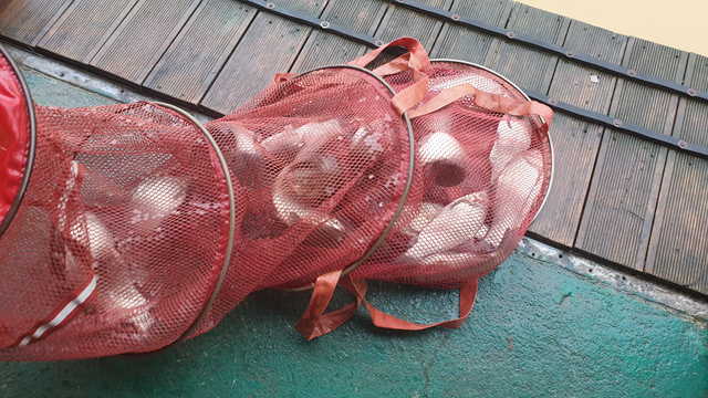 20200803_080255.jpg