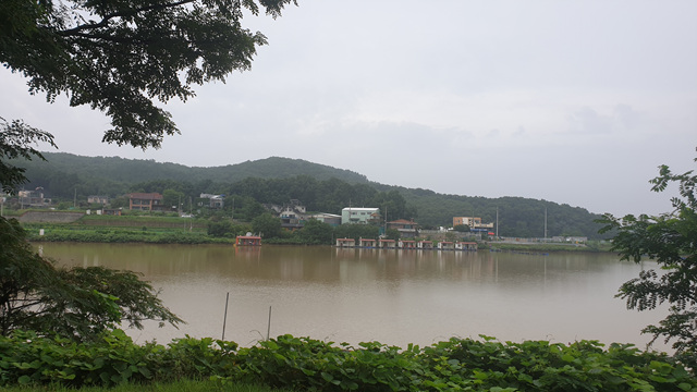 20200805_091708.jpg