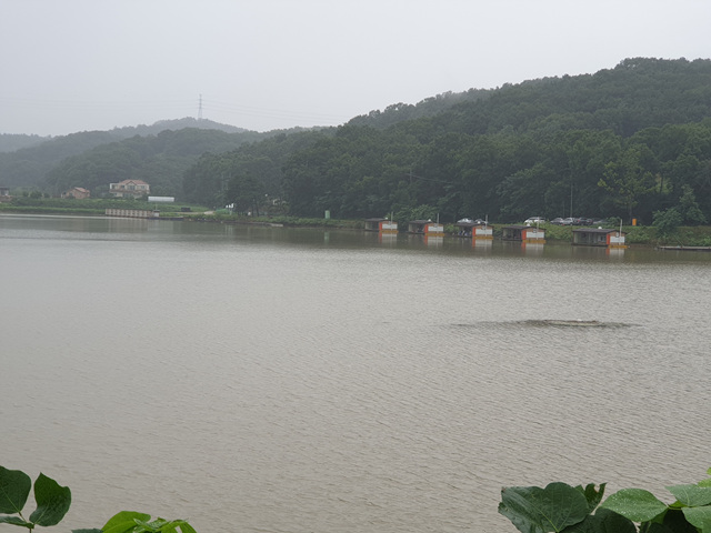 20200808_084258.jpg