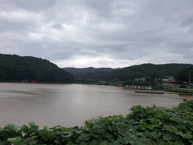 20200809_155123.jpg