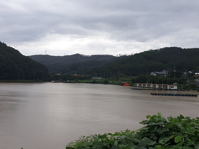 20200809_155125.jpg