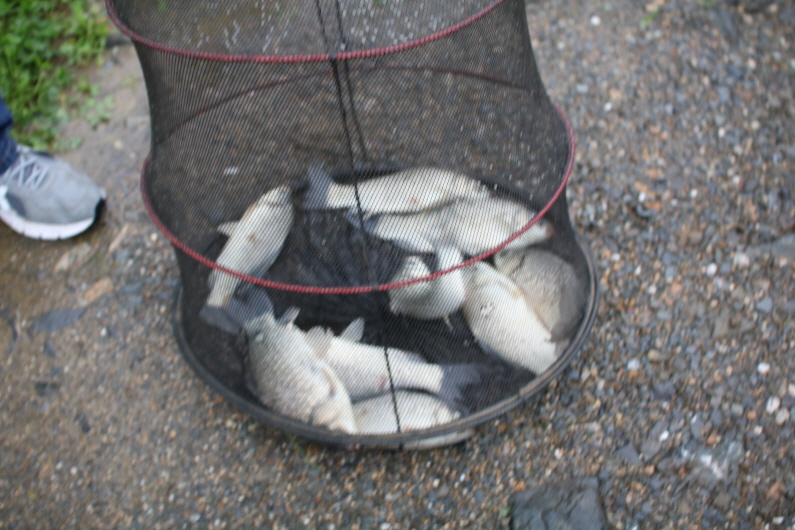 [크기변환]IMG_9626.JPG