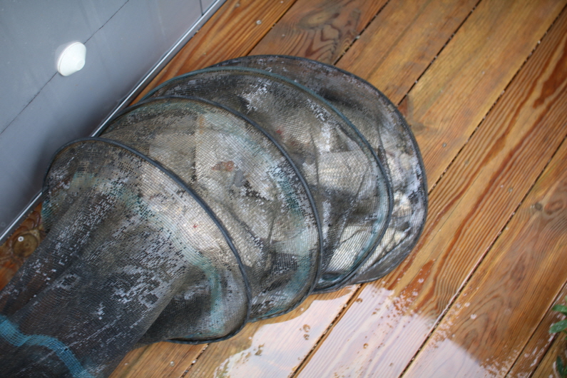 [크기변환]IMG_9654.JPG