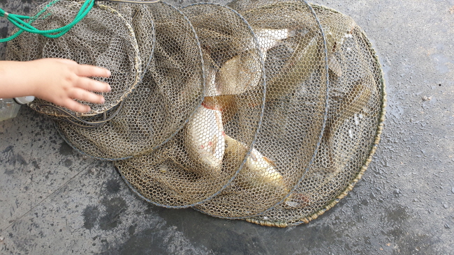 새 폴더-20200815_092324.jpg