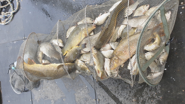 새 폴더-20200815_110000.jpg