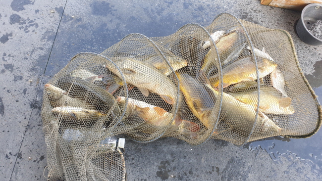 새 폴더-20200816_100724.jpg
