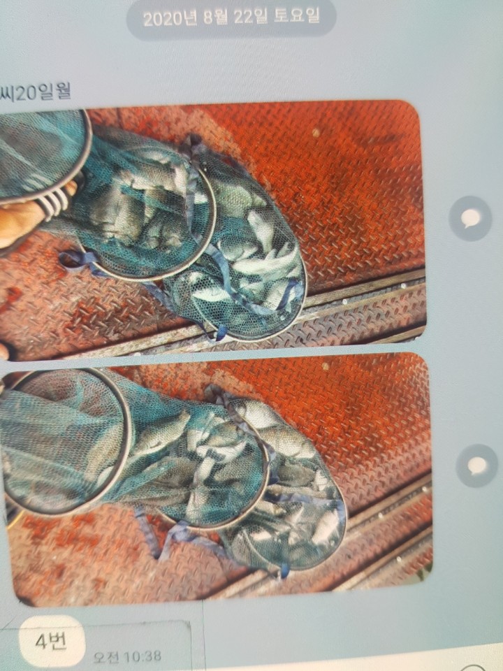 1598491419220-3.jpg