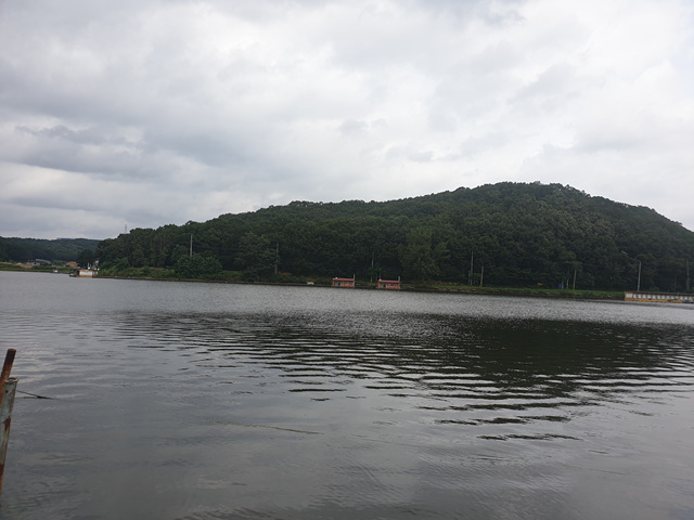 20200827_120754.jpg