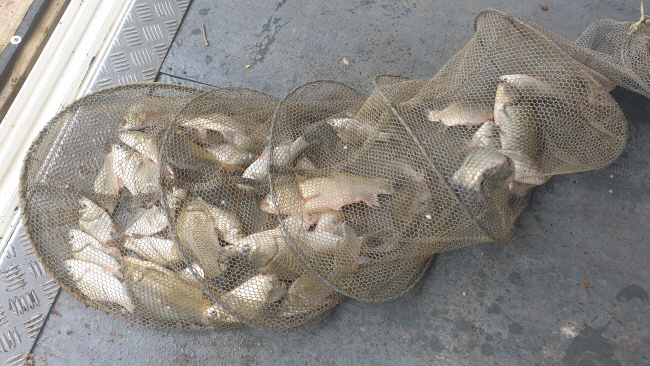 �� ����-20200817_092749.jpg