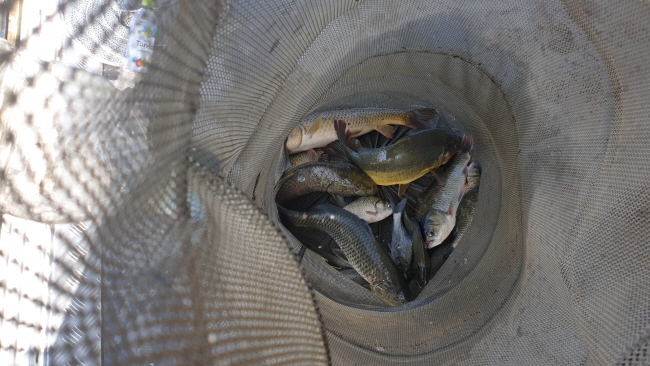 �� ����-20200819_101754.jpg