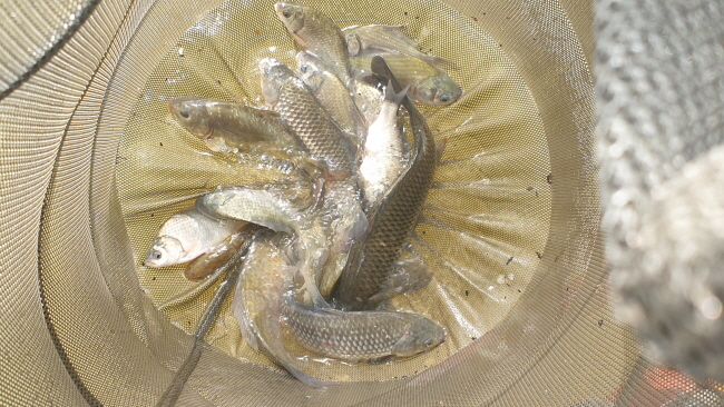 �� ����-20200817_101027.jpg