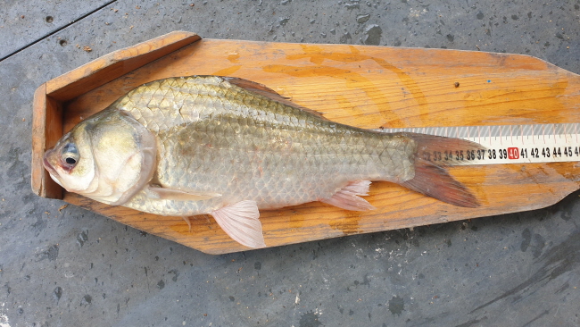 �� ����-20200821_112621.jpg