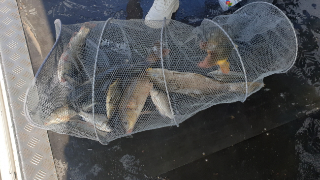 �� ����-20200819_101909.jpg