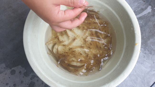 �� ����-20200822_084515.jpg