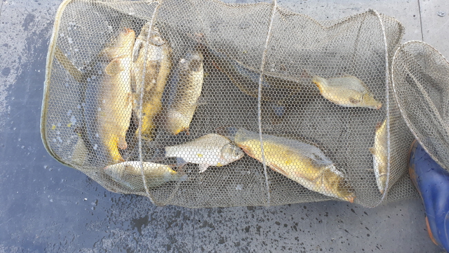 �� ����-20200824_102358.jpg