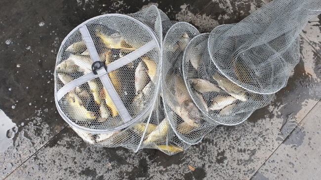 �� ����-20200829_110533.jpg