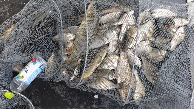 �� ����-20200830_084736.jpg