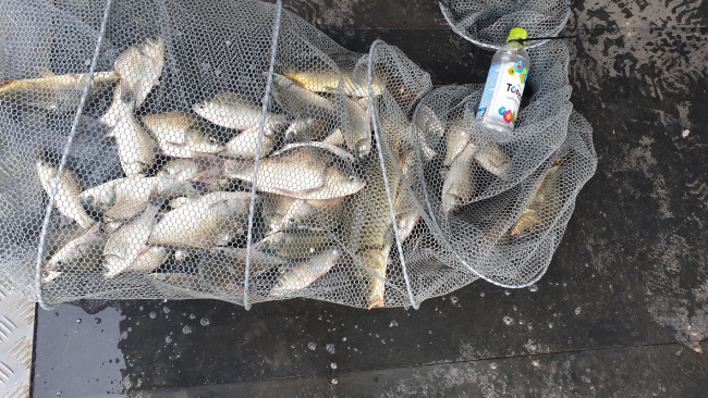 �� ����-20200830_084822.jpg