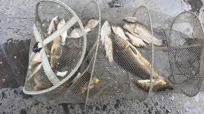 �� ����-20200830_095620.jpg