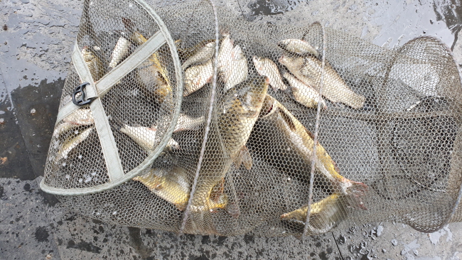 �� ����-20200830_095616.jpg