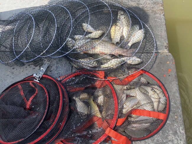 �� ����-1597638372393.jpg