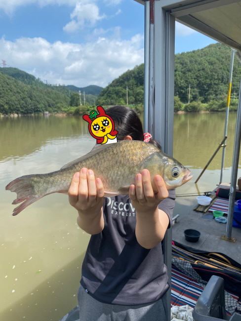 �� ����-1597638404287.jpg