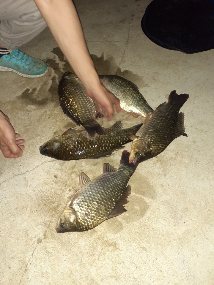KakaoTalk_20200902_064333086.jpg