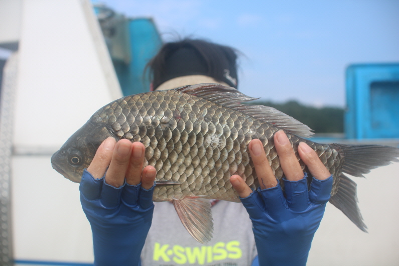 [크기변환]IMG_0420.JPG