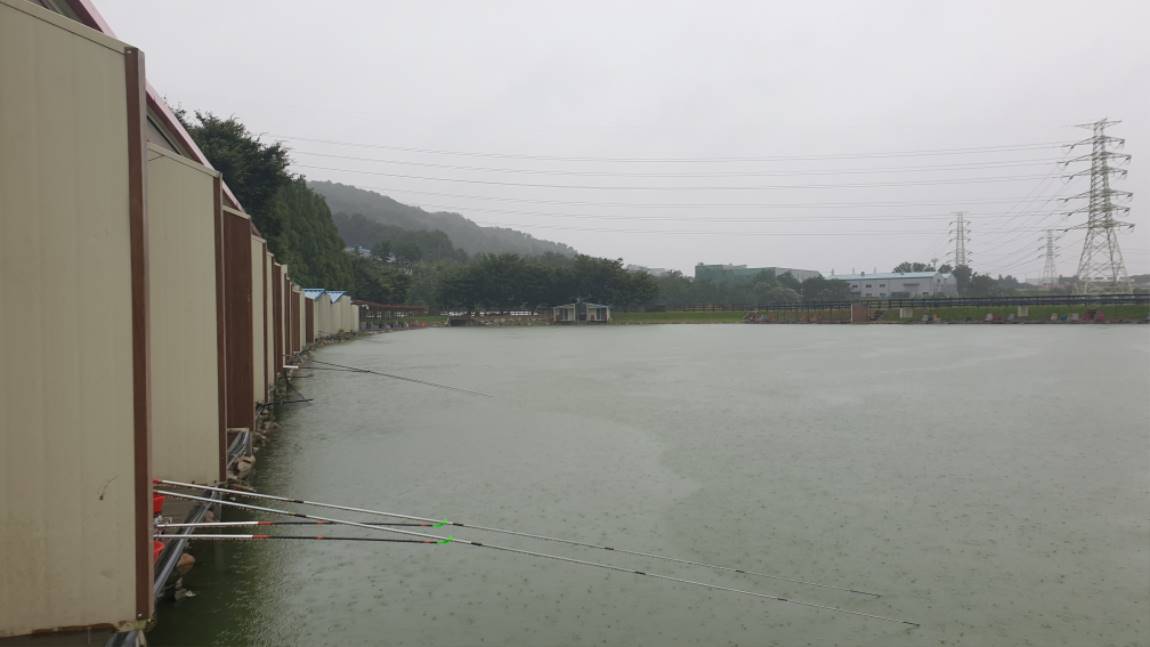 20200907_072129.jpg