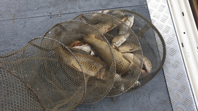 �ۼ��� 9��7��-20200831_090249.jpg