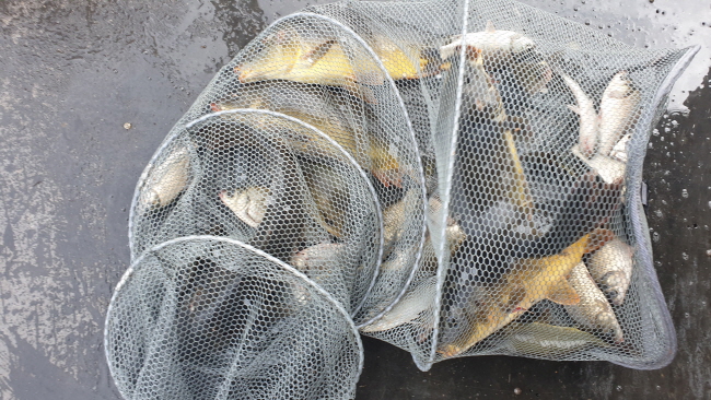 �ۼ��� 9��7��-20200831_095244.jpg