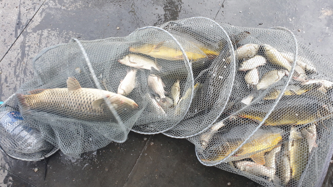 �ۼ��� 9��7��-20200831_095315.jpg