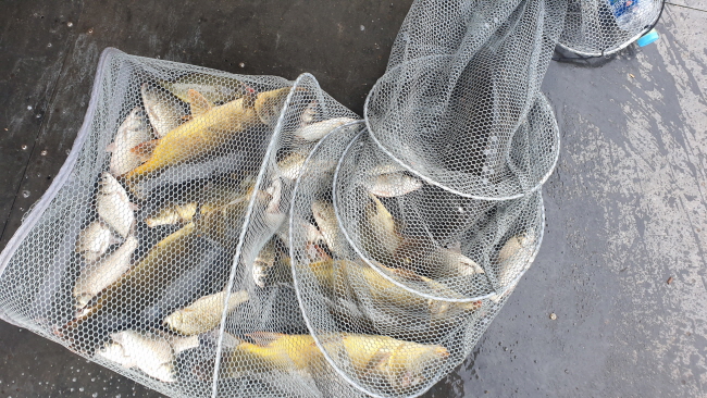 �ۼ��� 9��7��-20200831_095250.jpg