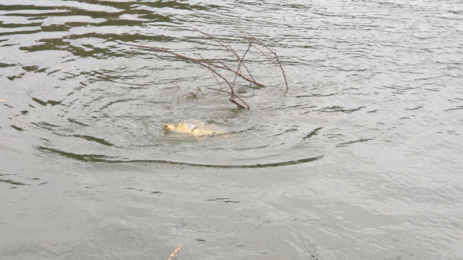 �ۼ��� 9��7��-20200831_095603.jpg