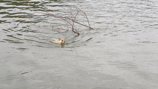 �ۼ��� 9��7��-20200831_095558.jpg