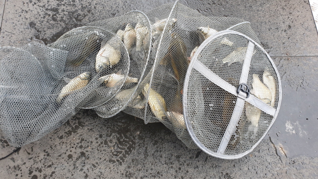 �ۼ��� 9��7��-20200905_105052.jpg