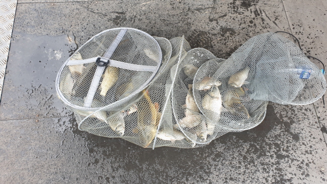 �ۼ��� 9��7��-20200905_105104.jpg