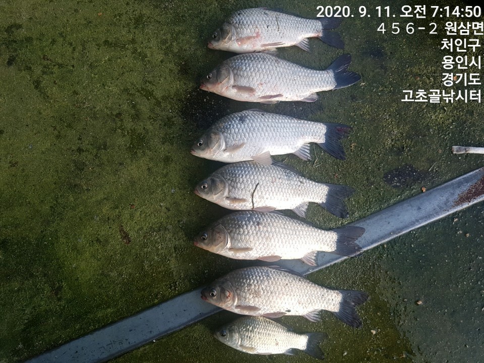 1599780959032-3.jpg