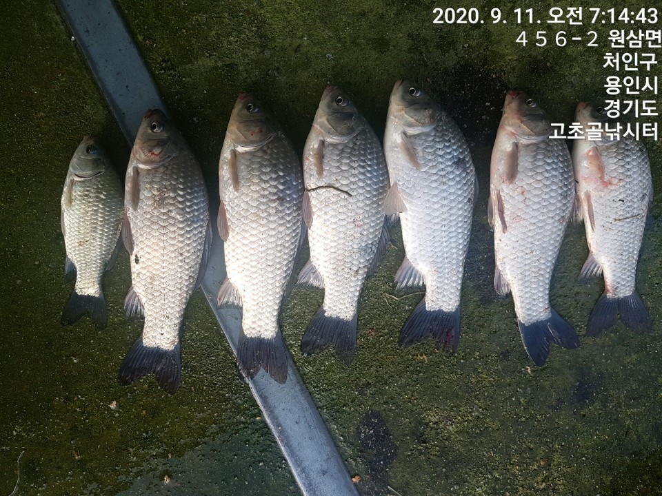 1599780959032-4.jpg