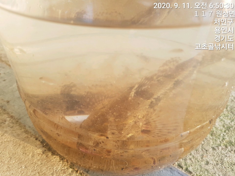 1599780959032-9.jpg