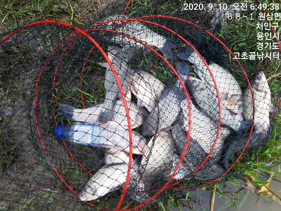 1599723026434-4.jpg
