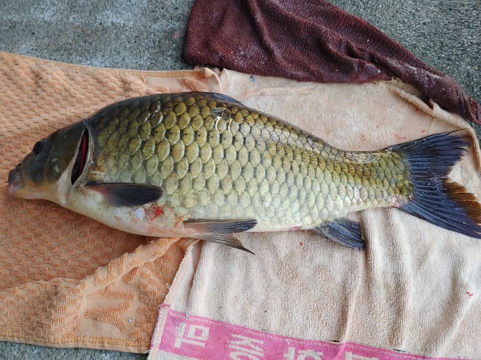 KakaoTalk_20200911_144741566.jpg