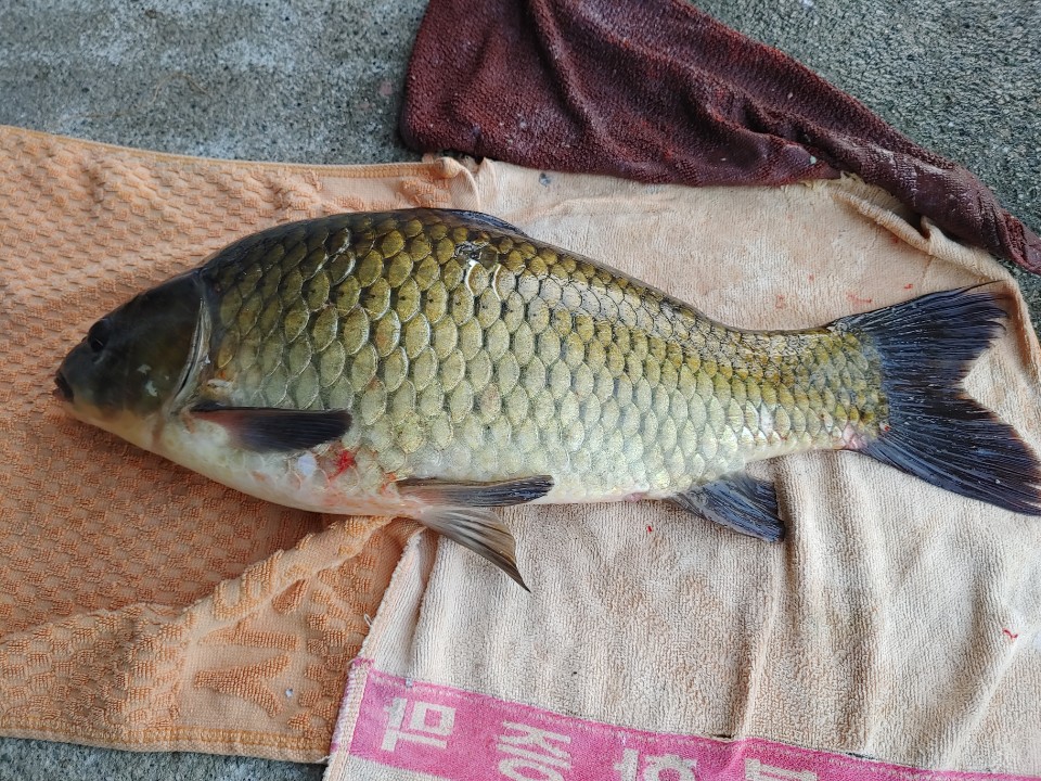 KakaoTalk_20200911_144741774.jpg