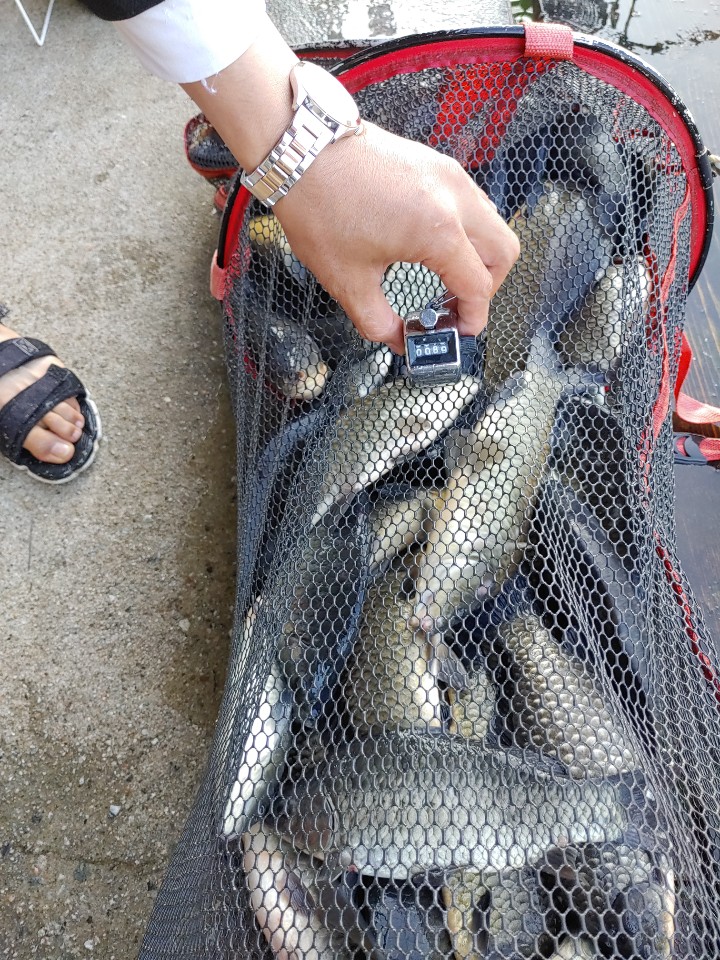 KakaoTalk_20200911_144742784.jpg